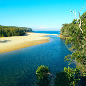 An Estuary in Coffs Harbour An Estuary in Coffs Harbour