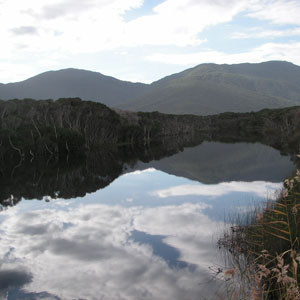 A view in Wilsons Promontory NP A view in Wilsons Promontory NP