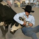 rodeo queensland