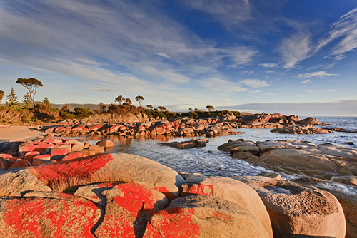 Bay of Fires