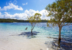 Fraser Island