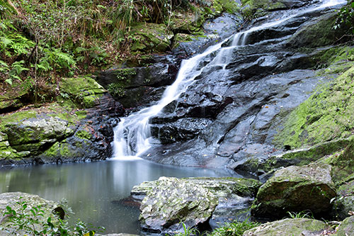 Kondalilla Waterfall