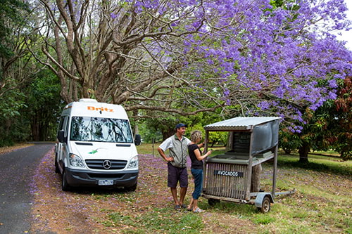 Britz Venturer image