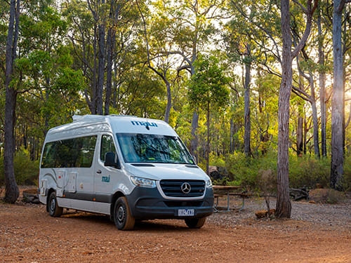 Maui Ultima Plus Elite image