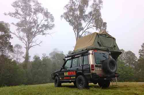 Bear Rentals Black image 