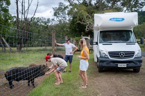 Cheapa Campa 4 Berth image 