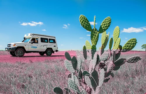 Cheapa Campa Trailfinder image
