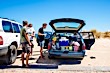 <img src='/images/alt/stationwagon_alt6.jpg' />