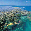 great barrier reef