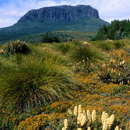 cradle mountain