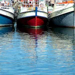 Fishing is the Main Income of Apollo Bay