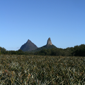 Mt Coonowrin and Beerwah Mountain