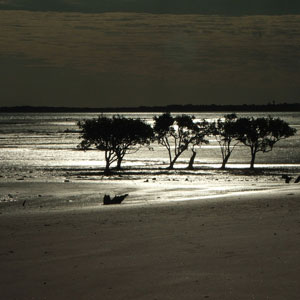 Sunset Over Roebuck Bay Sunset Over Roebuck Bay