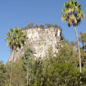 A Carnarvon Gorge Cliff Face