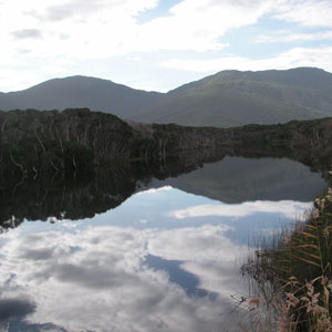 A view in Wilsons Promontory NP