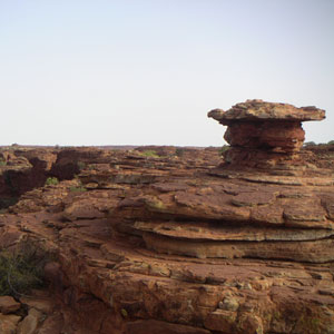 The Stark Beauty of Kings Canyon