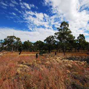 The Stunning Scenery of Longreach