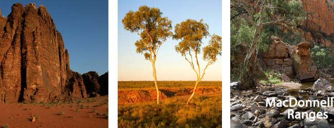 MacDonnell Range - Australia