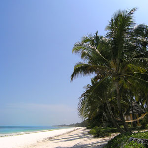 A Tropical Beach in Mackay