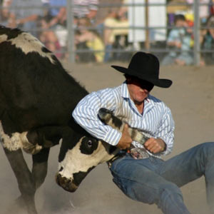 Rodeos are Popular Entertainment