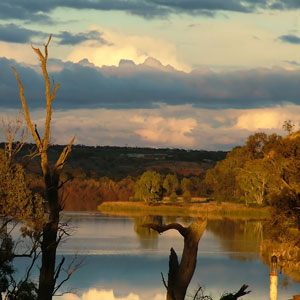 The Murray River The Murray River