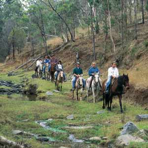 A Trail Near Crows Nest