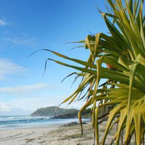Cabarita Beach in Tweed Heads