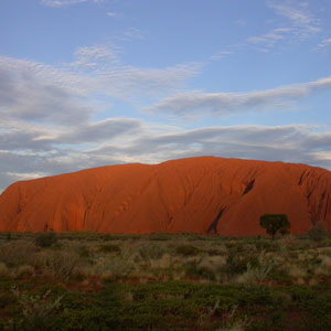 The Unmistakable Australian Icon The Unmistakable Australian Icon