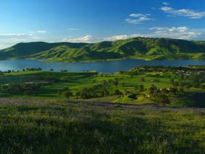 Lush Scenery and Stunning Landscapes Lush Scenery and Stunning Landscapes