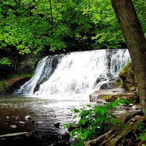 Waterfalls Abound in the Tops