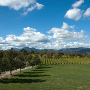 The Yarra Valley Countryside