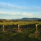 huntervalley