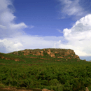 kakadu