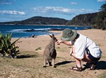 Scenic Beach Roo